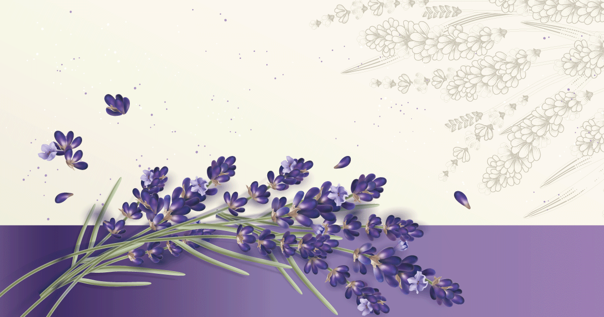 Lavender森活