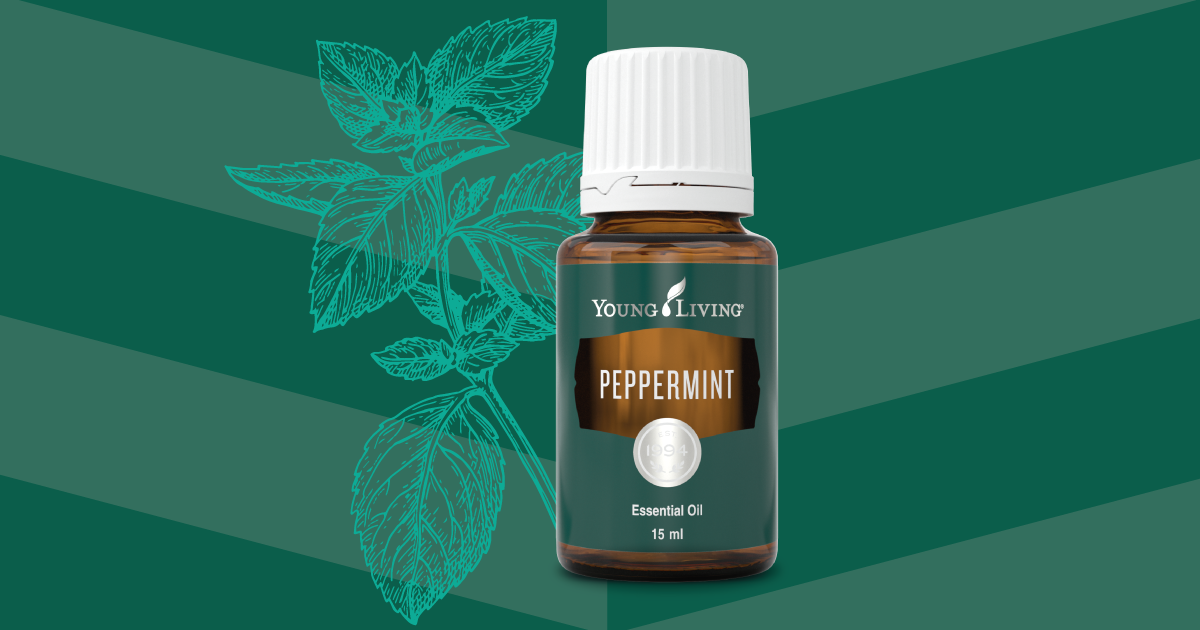 Peppermint薄荷的使用方法II